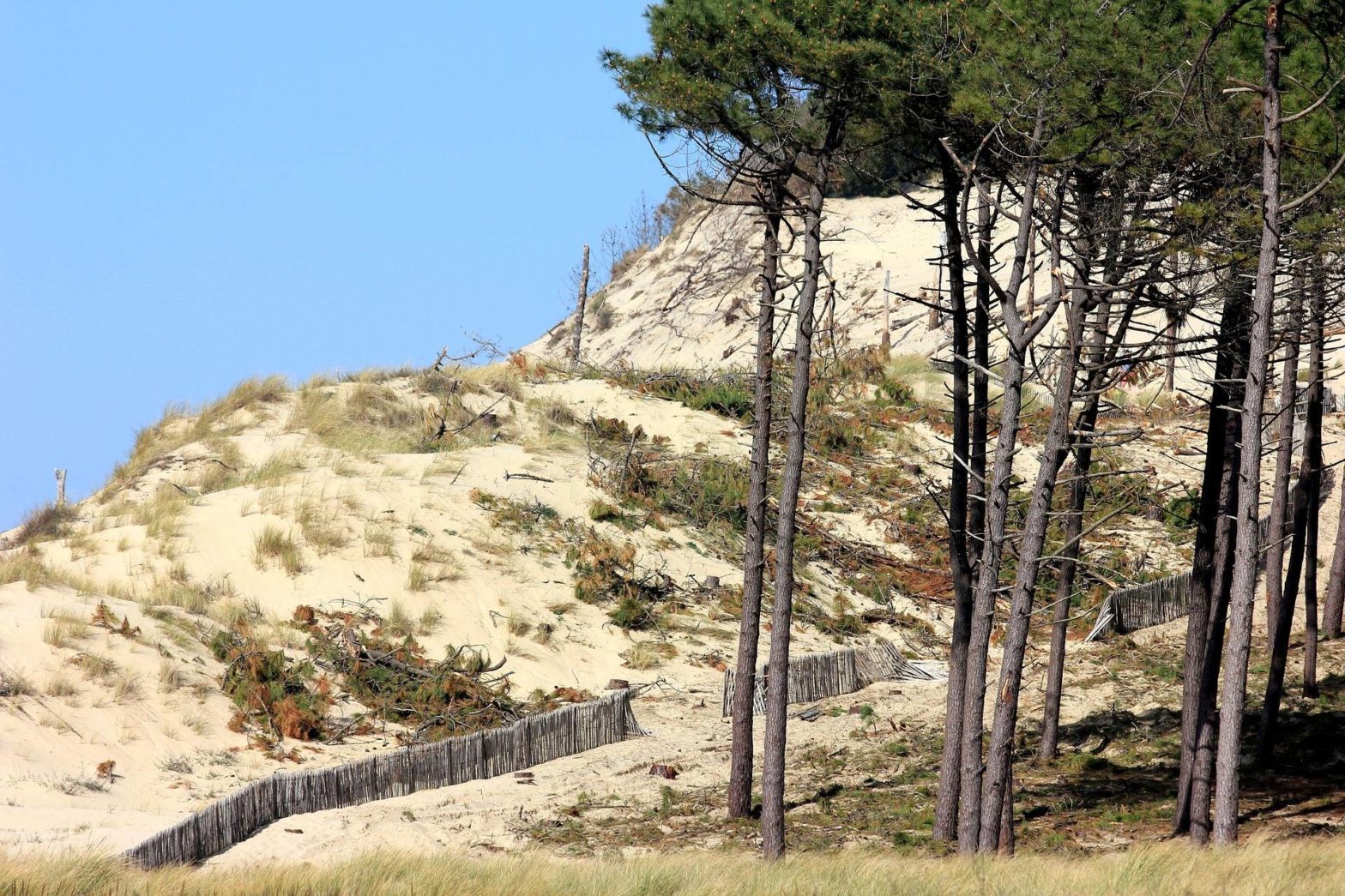 DUNES-DE-SABLES-NOTRE-DAME-DE-MONTS